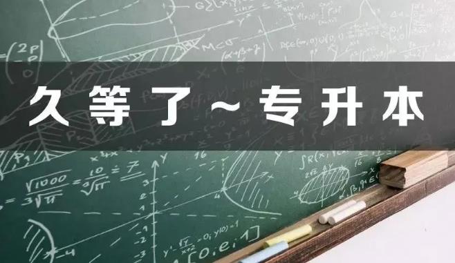 专升本之后的本科生活是怎样的?